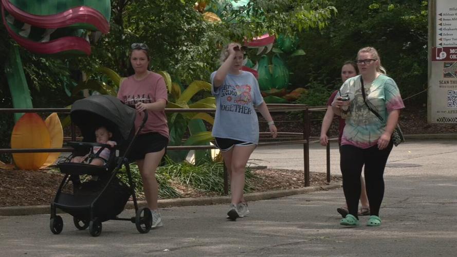 LOUISVILLE ZOO BABY BIZ