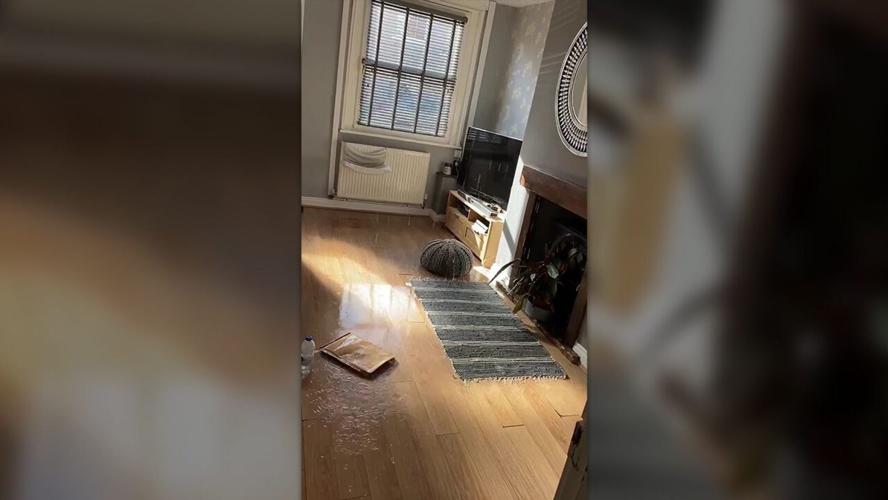 cat flood house 10-26-20.jpg