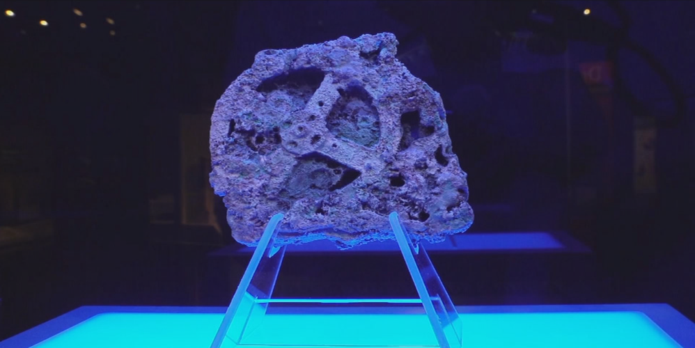 ancient greece 8.png