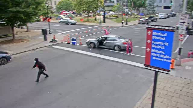 Downtown Protester Hit