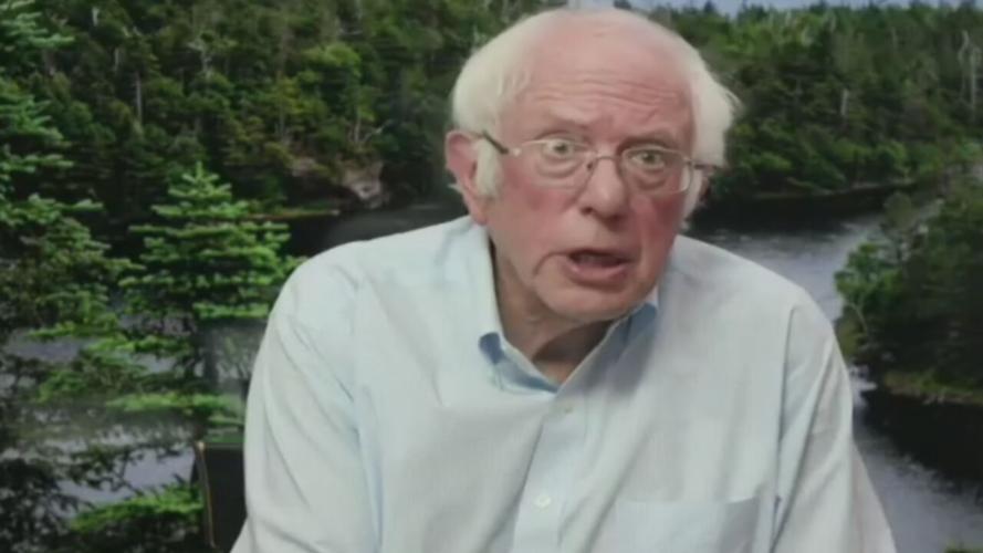 Bernie Sanders during virtual town hall 8-15-20