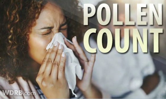 pollen county cover sneeze.PNG