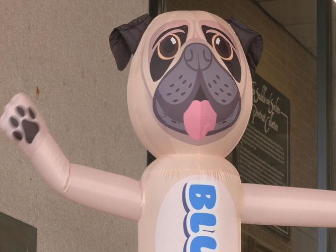 Bluegrass Pugfest 2023 (1).jpeg