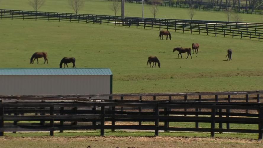 Old Friends Farm (thoroughbred retirement farm)