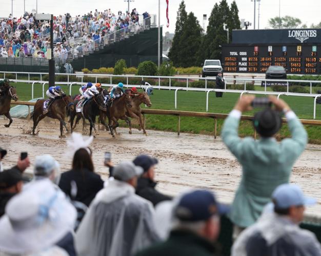 Man takes video of horses May 3.JPG