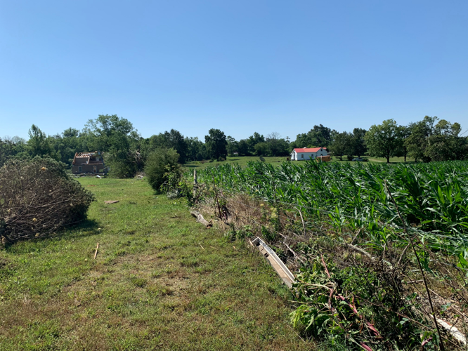 Cecilia Storm Damage