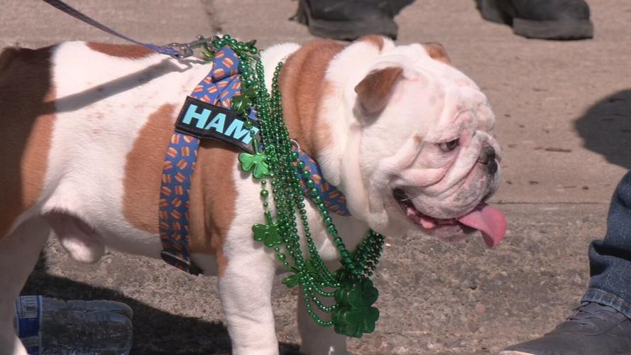 ST PATRICKS DAY PARADE  (12).jpeg