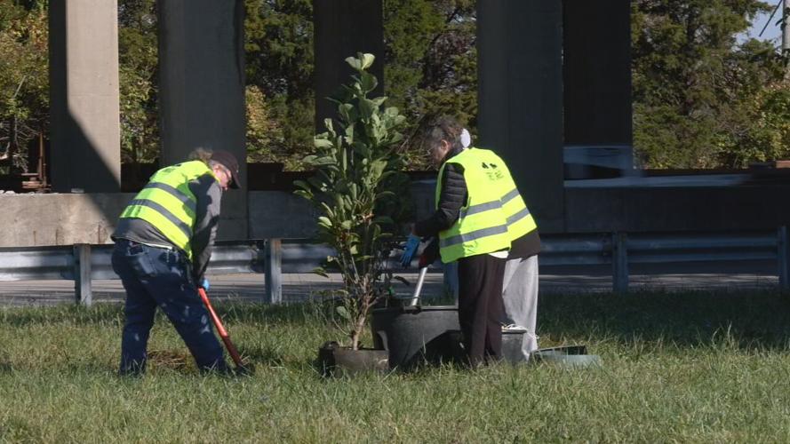 WATTERSON PARK TREE PLANTING