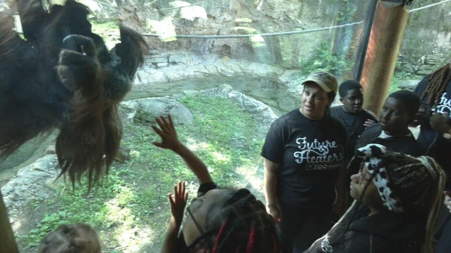 Zoo Buddies 2X