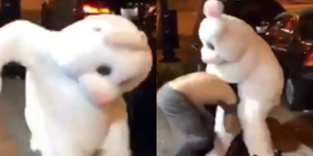 Orlando Easter Bunny fight