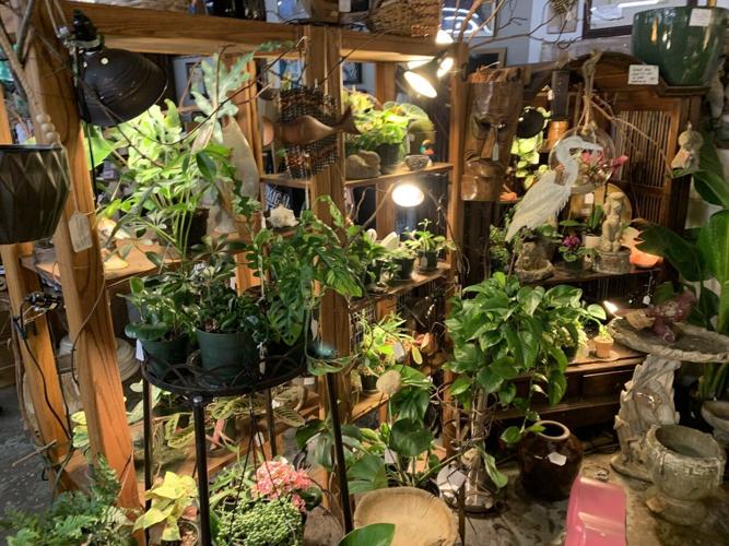 Get inspired to dig in the dirt and spruce up the yard at the Paristown Garden Show