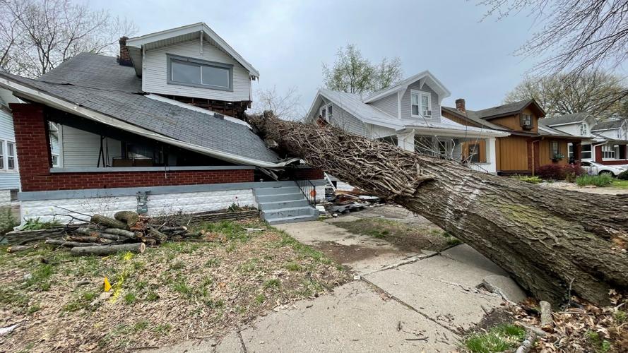 Tree on top of house off Central Avenue near Churchill Downs 4-6-23 (4).jpg