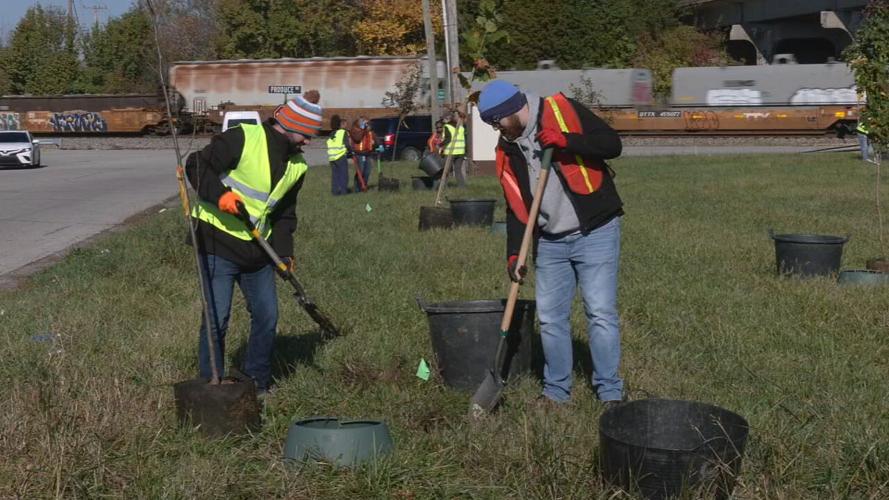 WATTERSON PARK TREE PLANTING