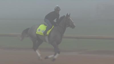 Tacitus makes his way through the fog