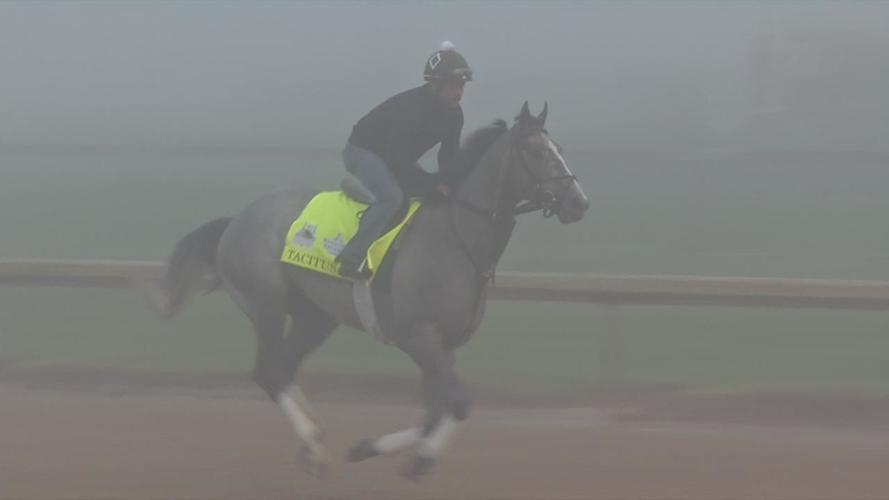 Tacitus makes his way through the fog