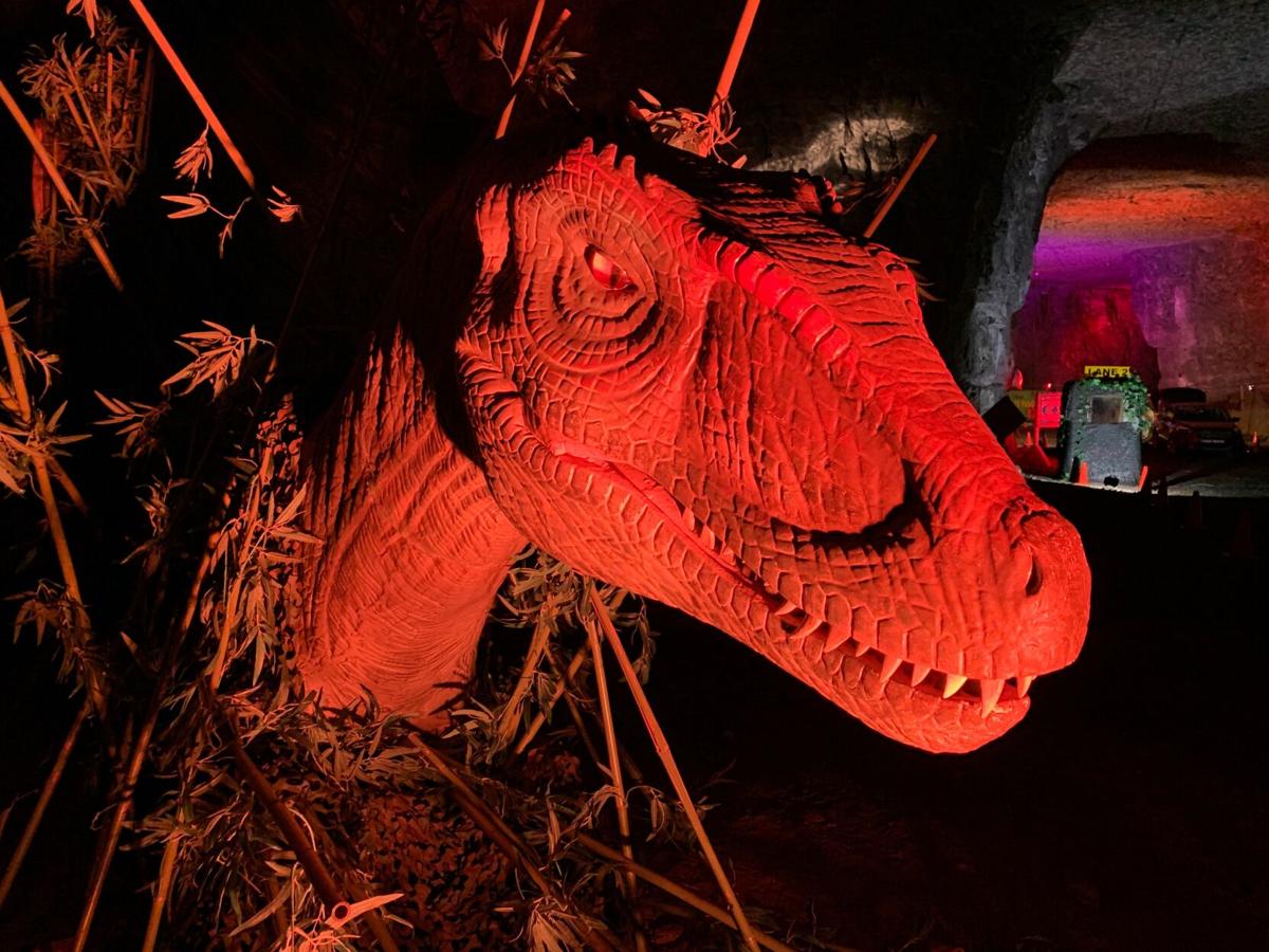 Dinosaurs Rule The Louisville Mega Cavern During Dino Safari Morning Wdrb Com