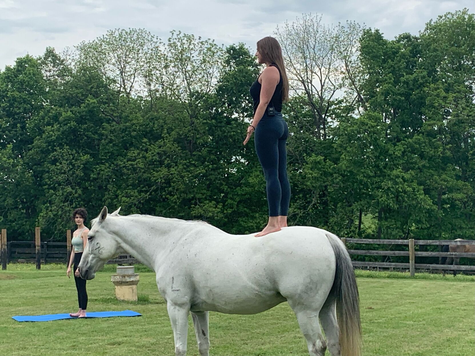 Ommmmmm ... neighhhhhh ... You can do yoga on a horse in LaPorte