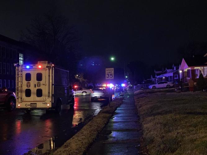 Cypress Shooting Scene