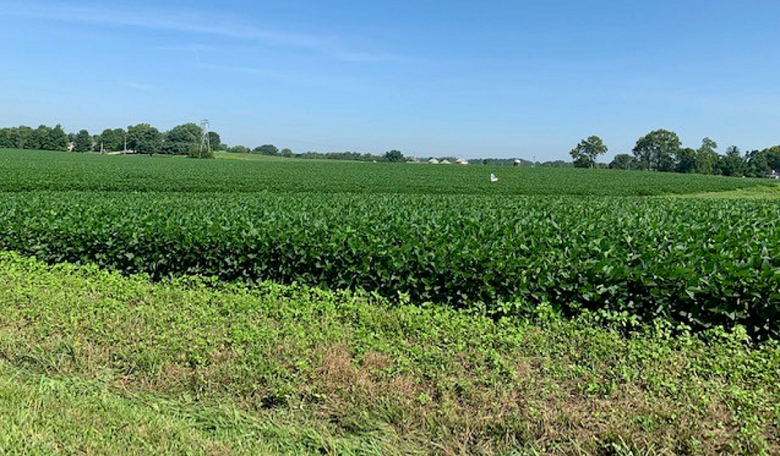 Property for Shadow Lake development in Charlestown