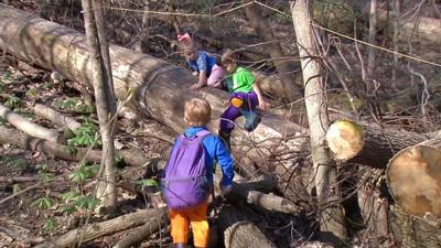 Outdoor preschool