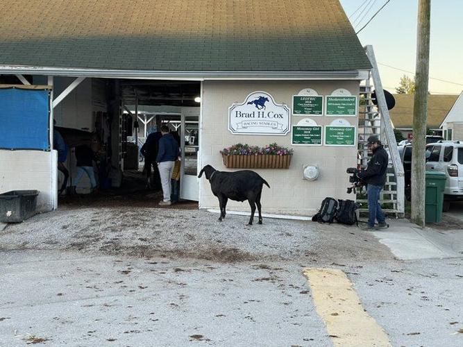 DERBY - BACKSIDE - BRAD COX - 5-1-2021.jfif