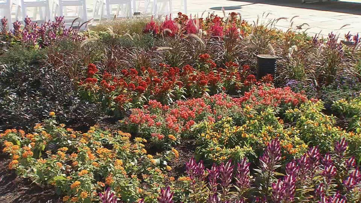 IMAGES Louisville Waterfront Botanical Gardens opens to public News