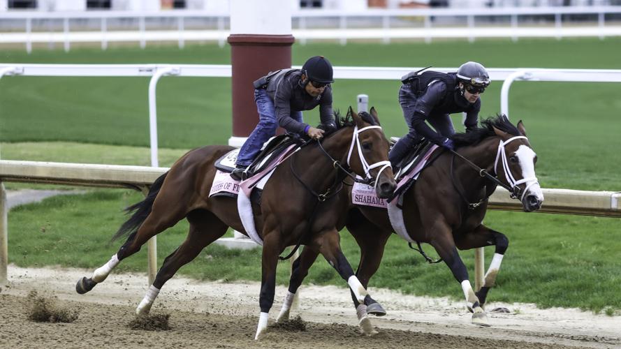 Oaks fillies training 2.jpg