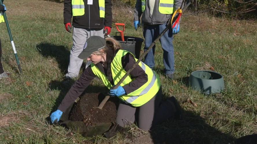 WATTERSON PARK TREE PLANTIN