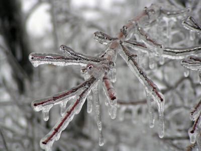 Ice Storm Warning Expanded