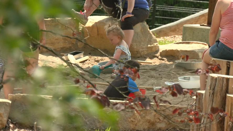 Children play at a playground at Bernheim Forest