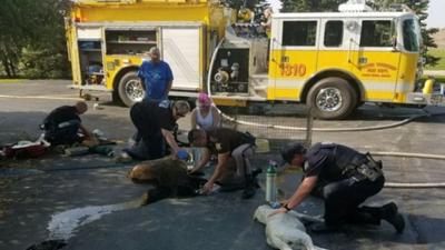First responders in Indiana revive 7 dogs suffering from smoke inhalation