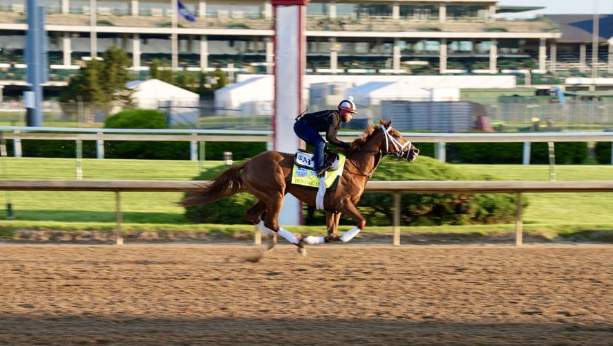 DERBY - HORSE - DYNAMIC ONE -  TUESDAY 4-29-2021.JPG