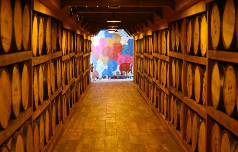 Underground tunnel to Paddock.JPG