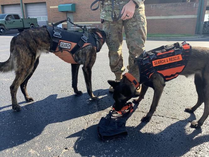 Kentucky Air National Guard Search and Rescue K-9 Callie, Pits