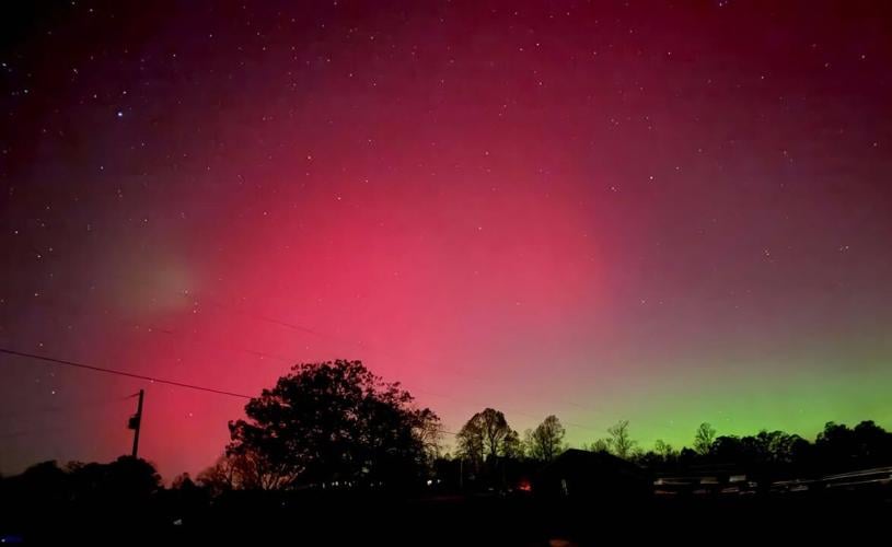 NORTHERN LIGHTS CORYDON - CAITLYNN DAVISON.jpg