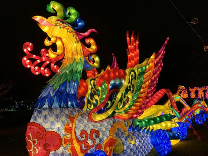 Wild Lights at Louisville Zoo