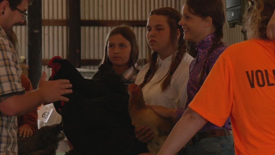 The 2023 Floyd County 4-H Fair at the Floyd County Fairgrounds in New Albany, Indiana