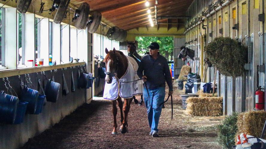 Justify with Elliot Walden