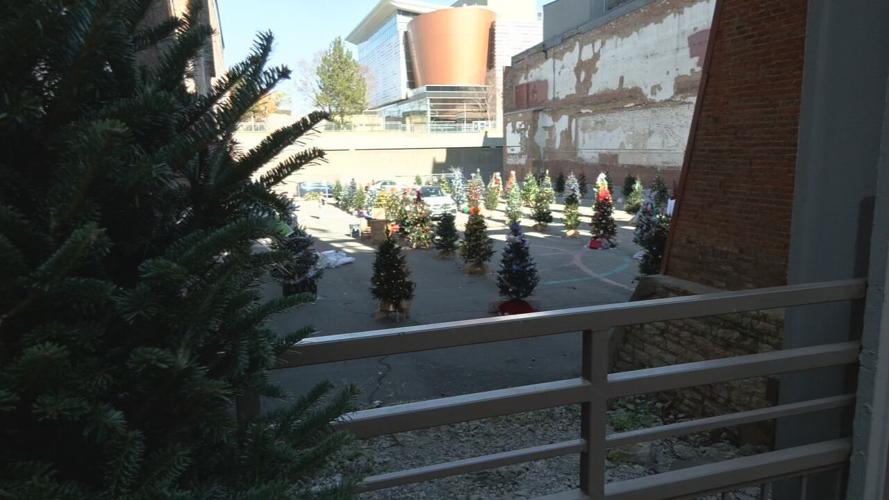 multiple trees at lights on main.jpeg