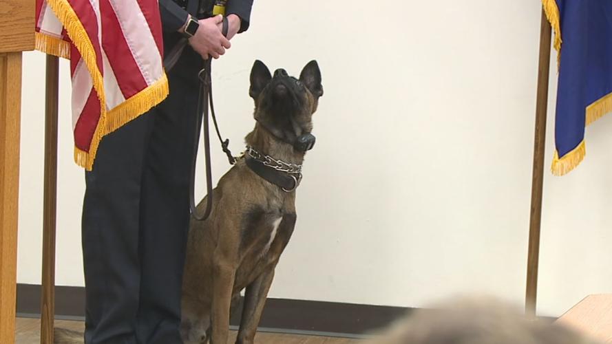 ISP NEW K-9 OFFICERS 4VO.transfer_frame_845 i see you.jpg