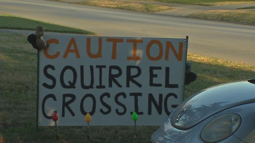 SQUIRREL CROSSING.jpeg