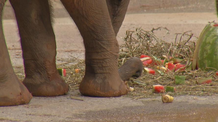 Fitz first birthday (1).jpeg