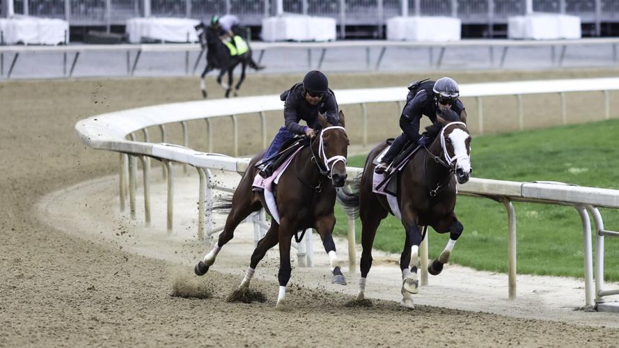Oaks fillies training.jpg