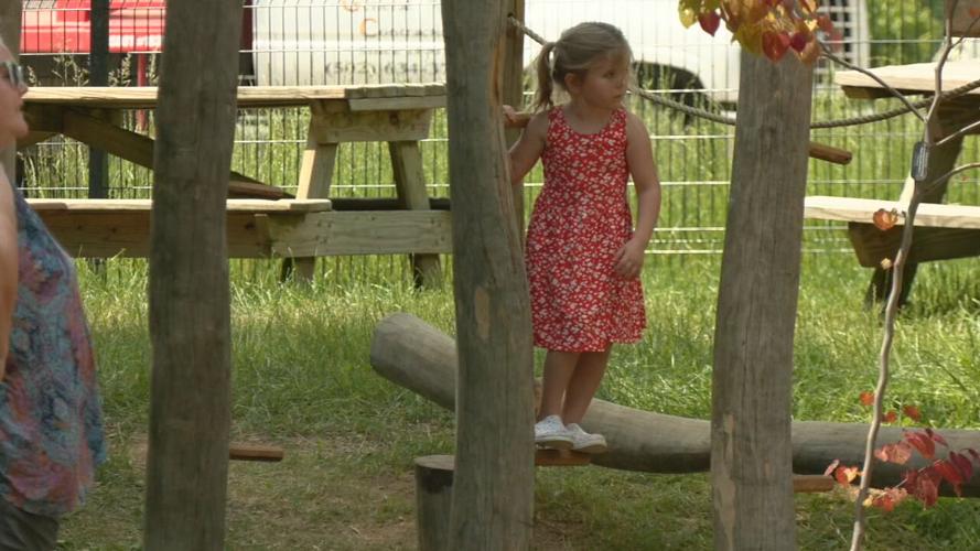 Children play at a playground at Bernheim Forest