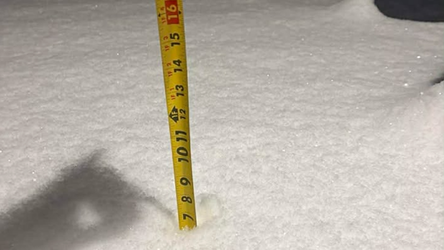 Snow in Paoli, Indiana