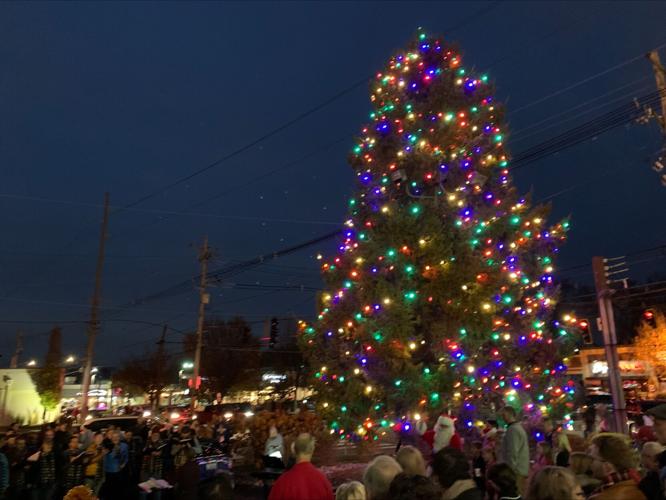 Bardstown Road Aglow 3.jpg