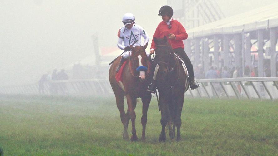 Justify wins Preakness