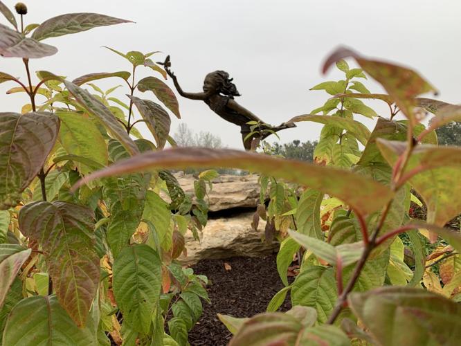 BOTANICAL GARDENS - KEITH KAISER  10-9-19   (7).jpeg