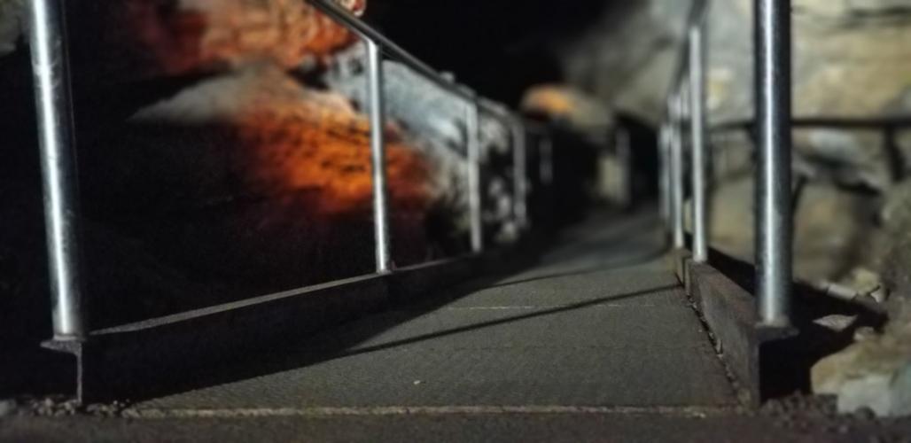 MAMMOTH CAVE - 8-13-19 - TOM ROUND (6).jpg