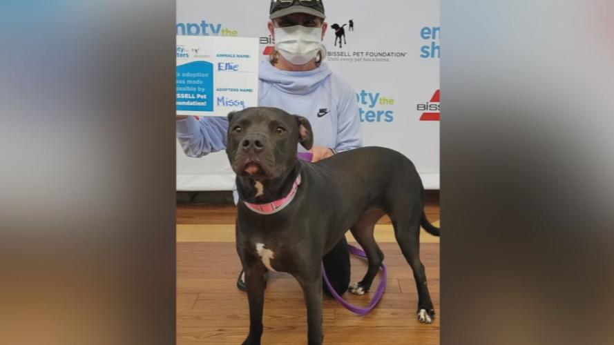 Pet adopted during Kentucky Humane Society's Empty the Shelter event